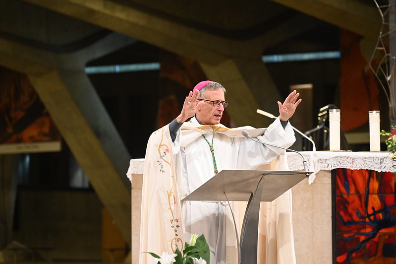 Pèlerinage diocésain à Lourdes 2025