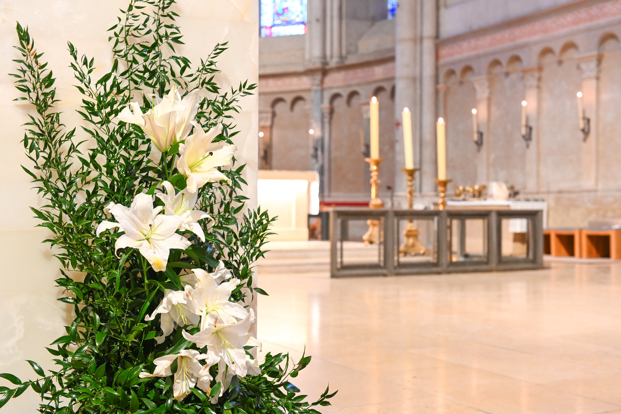 Messe Chrismale : Homélie de Mgr Olivier de Germay