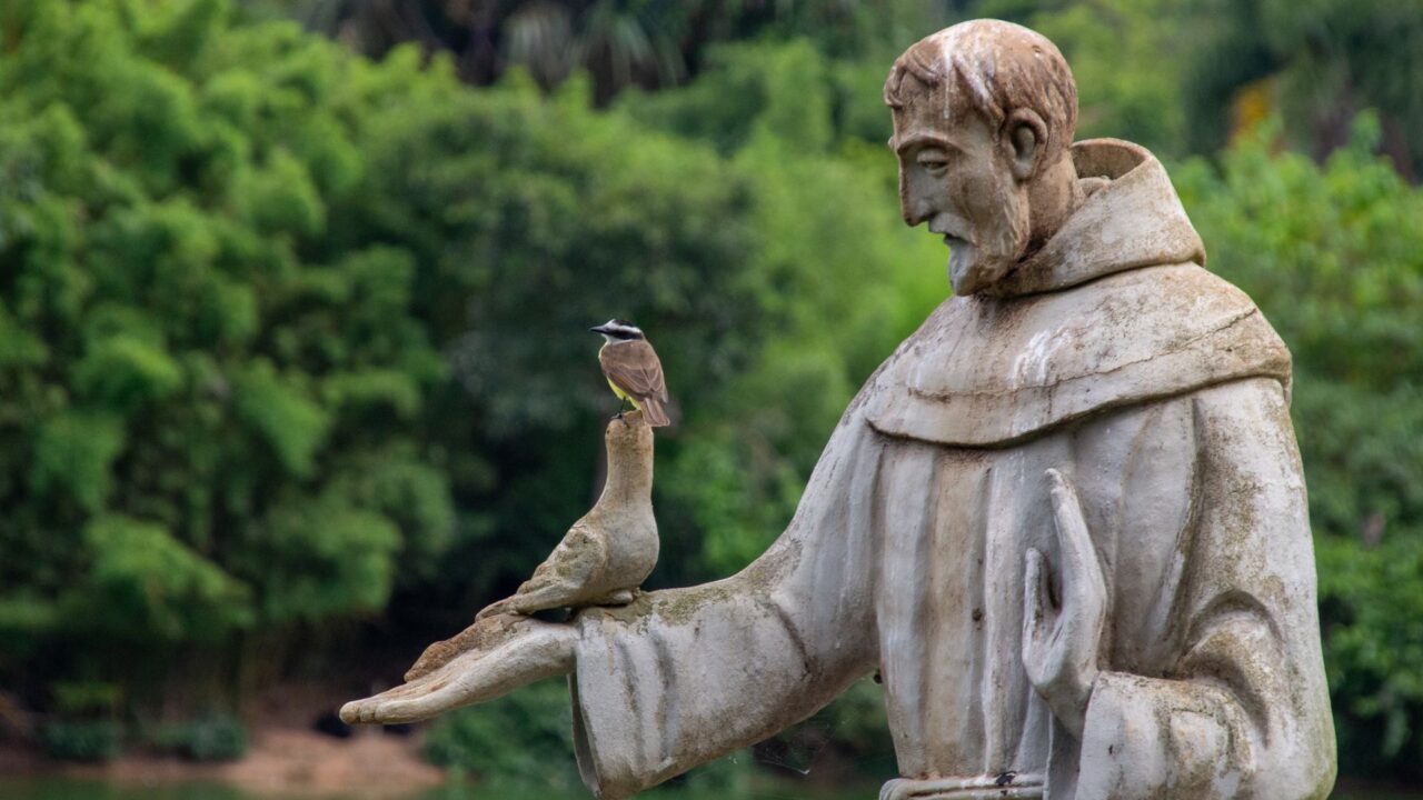 800 ans de la mort de saint François d&rsquo;Assise