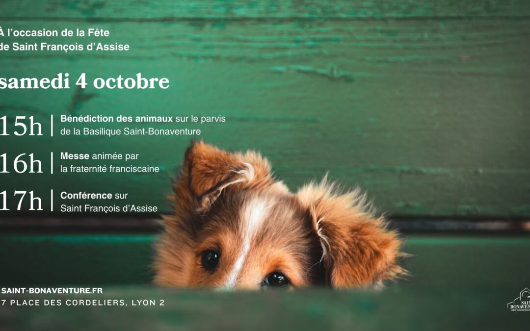 Bénédiction des animaux et conférence