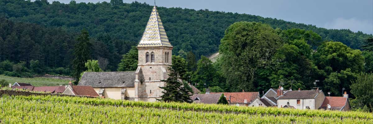 eglise-verte-ecologie