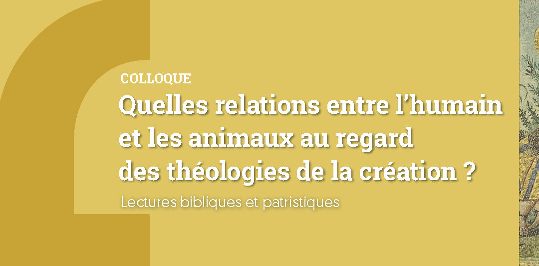 Quelles relations entre l’humain et les animaux au regard des théologies de la création ?